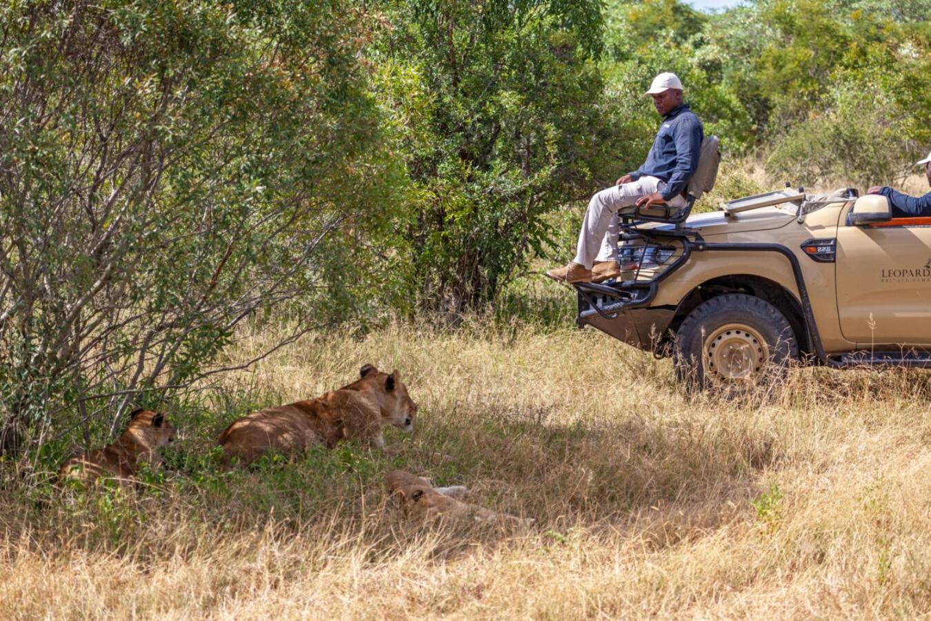 Leopard Hills Private Game Reserve Sabi-Sand-Reservat Exterior foto